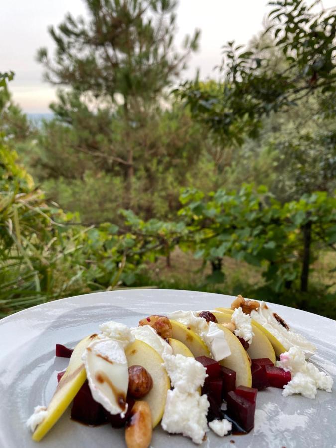 Quinta Abelha Βίλα Pico Εξωτερικό φωτογραφία