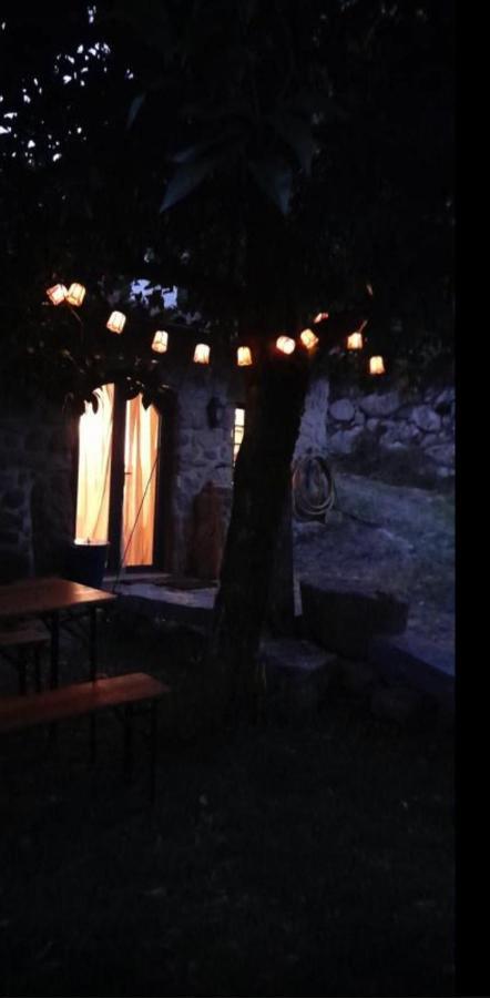 Quinta Abelha Βίλα Pico Εξωτερικό φωτογραφία